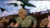 The Birds (1963)Bodega Lane, Bodega, California, Potter School House, Bodega, California, Tippi Hedren, birds and green